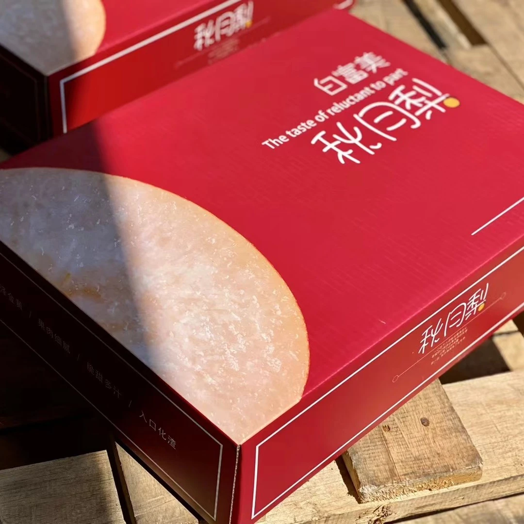 【小豪哥甄选】莱阳白富美秋月梨礼盒净重约9.5斤