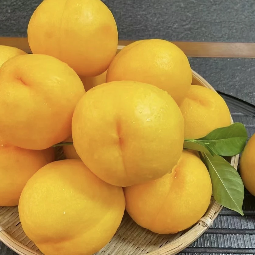 【小豪哥甄选】新疆蜂糖芒果桃 净重约3.5斤