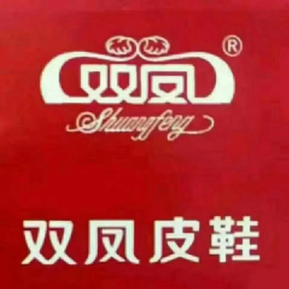 《双凤皮鞋》实体老店