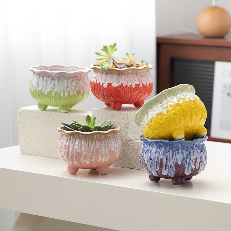 多肉花盆肉肉植物花盆小清新陶瓷花盆客厅阳台家居高颜值创意摆件