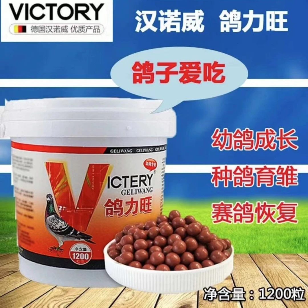 汉诺威 鸽力旺 赛鸽信鸽用品