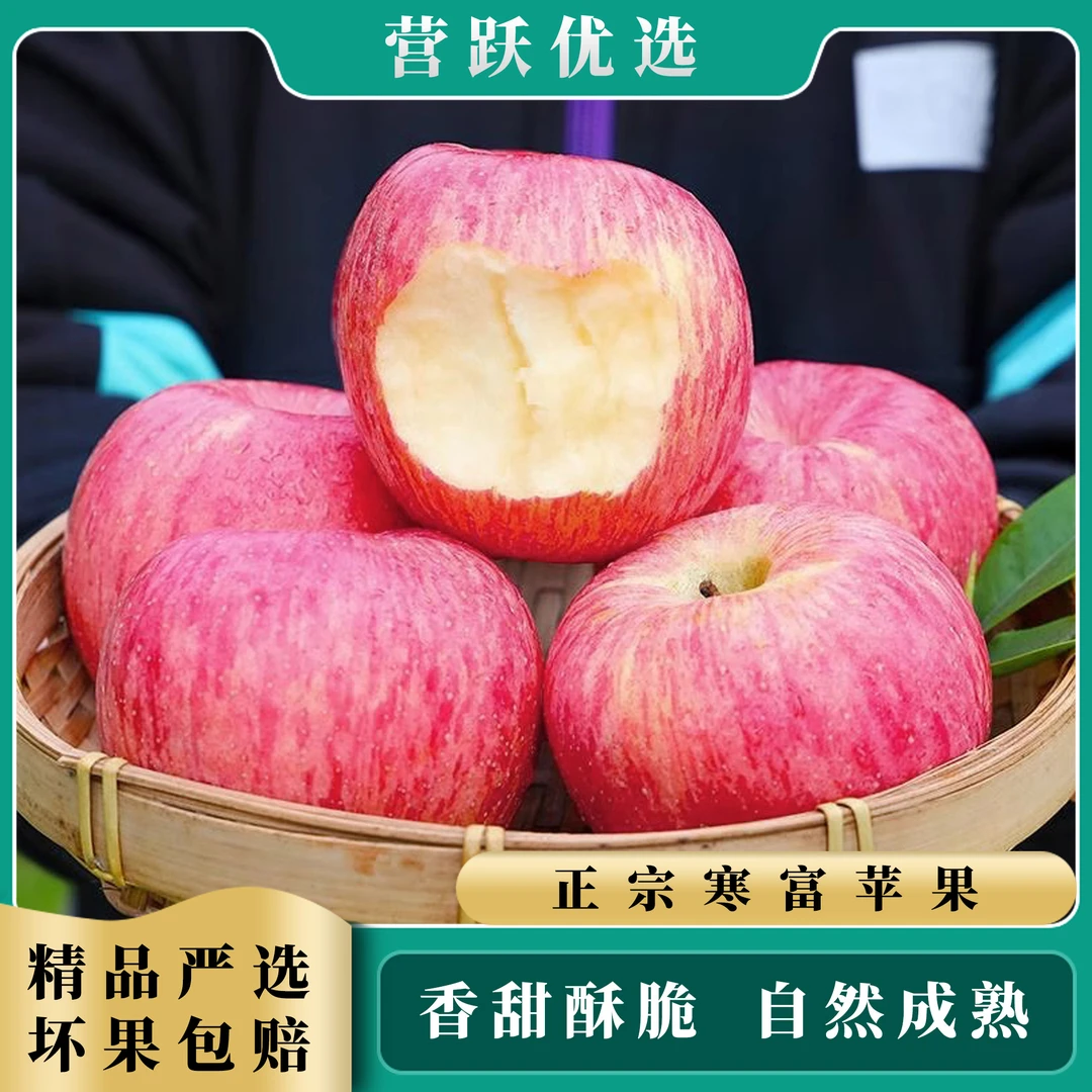 寒富苹果新鲜脆甜多汁水果红富士苹果自然成熟水果