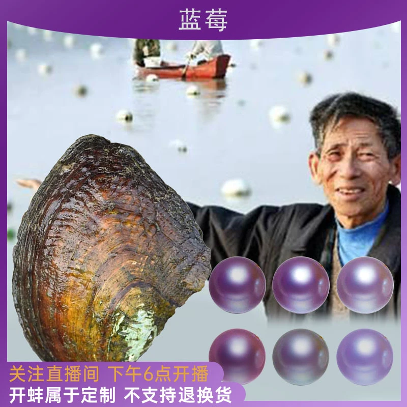 紫葡萄十个 珍珠开蚌 珍珠蚌