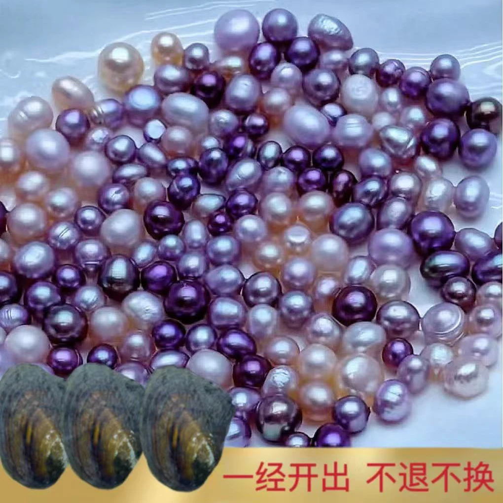 #梦境多珠蚌3个蚌无核珍珠（每蚌保10颗）可定制打孔