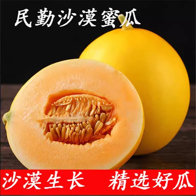 甘肃民勤蜜瓜9-10斤新鲜应季水果香甜多汁软糯优质甄选产地美味