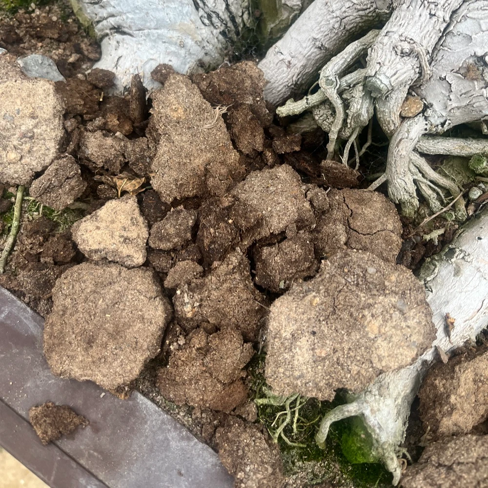 【肥】 阿红推荐鸭粪土肥营养土肥三角梅有机土肥 花卉