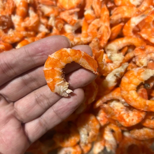 本地粗大虾米新鲜即食干货