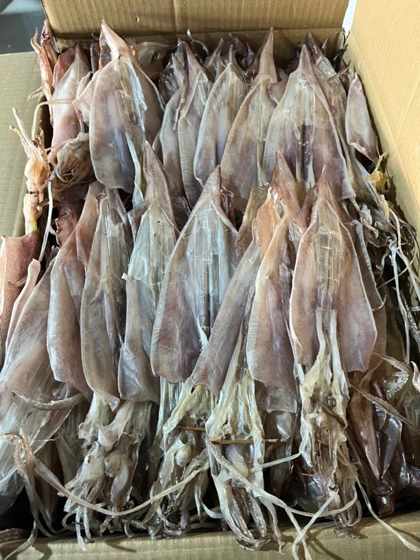 汕尾甲子本港鱿鱼干海鲜特产吊鱿干货（有大有小）