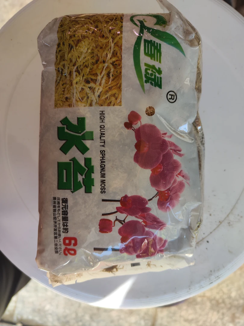 蝴蝶兰专用水苔，拍一发二，到手2包