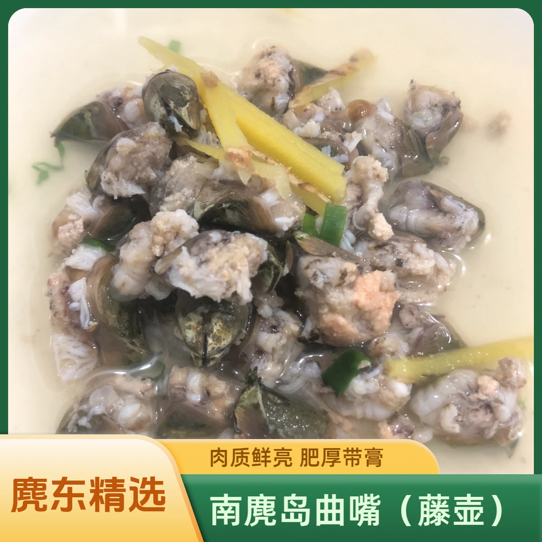 麂东严选南麂岛贝类小海鲜 曲嘴藤壶/辣螺/生腌辣螺 温州特色海鲜