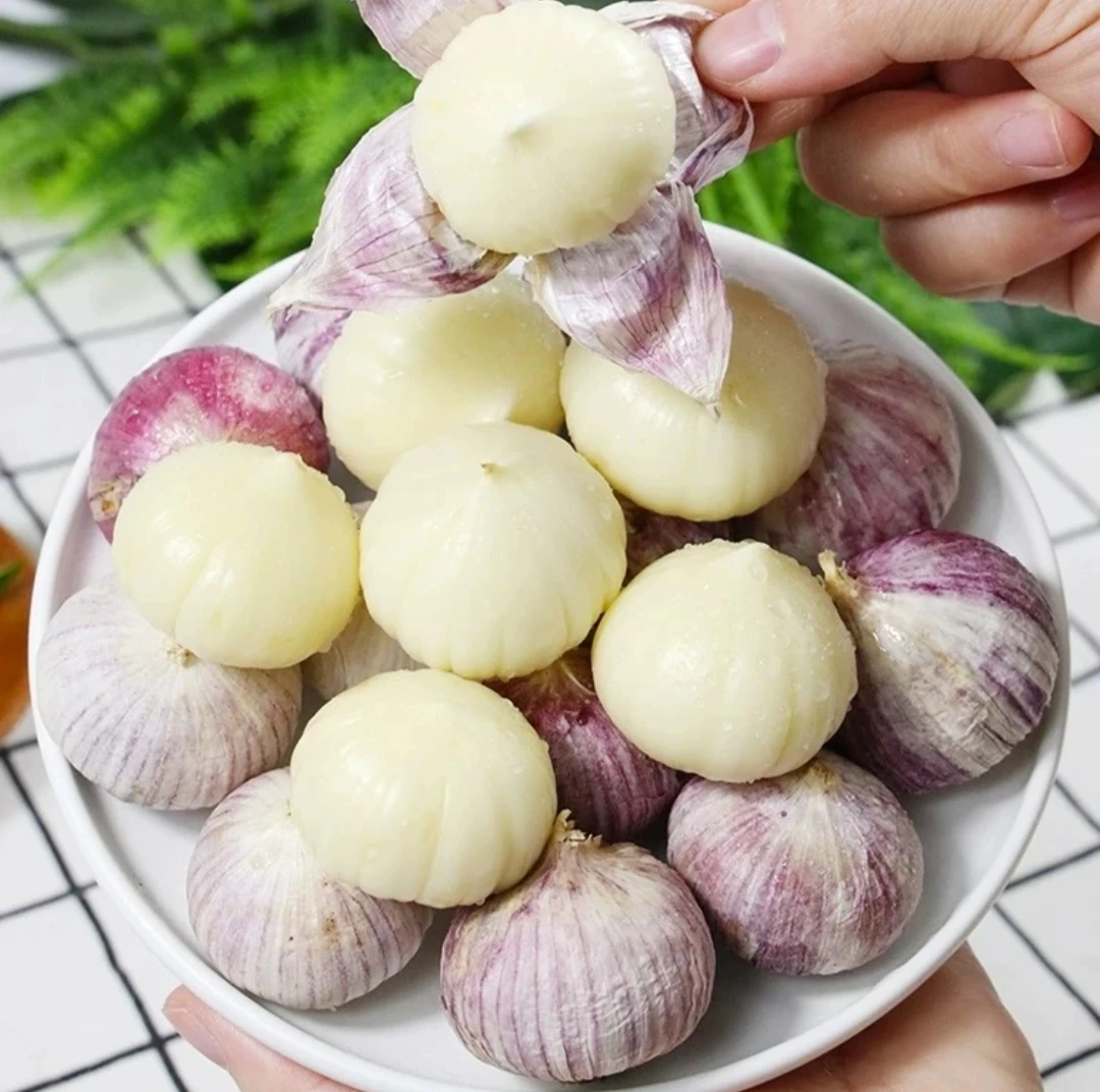 云南独蒜初级农产品紫皮蒜