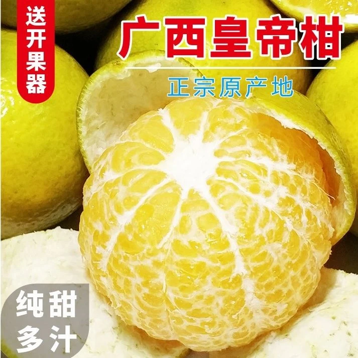 广西皇帝柑新鲜桔子应当季现摘柑橘甜橘正宗贡柑水果整箱包邮特产