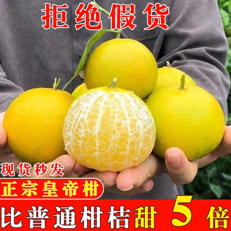 正宗广西皇帝柑桔子新鲜黄帝柑当季水果贡柑柑橘包邮皮薄橙红中果