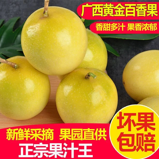 现摘现发 黄金百香果新鲜包邮大果当季百香果黄金果热情果9号营养