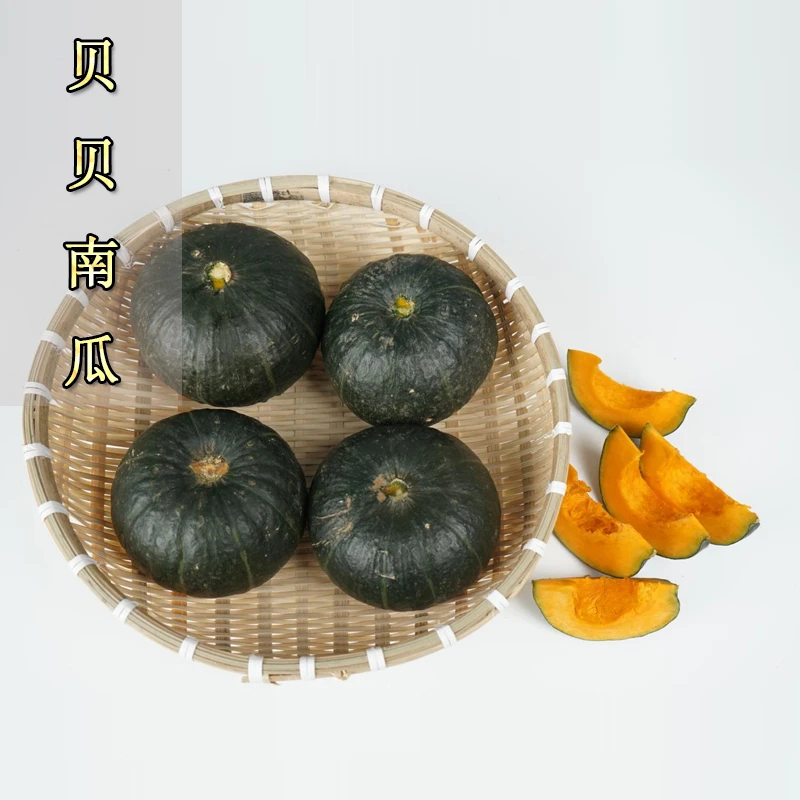 甄老头贝贝南瓜粉糯香甜3000g±250g