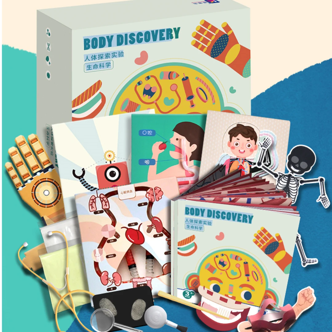 蝙蝠兔人体探索盒子科学实验套装科技小制作儿童diy手工材料玩具