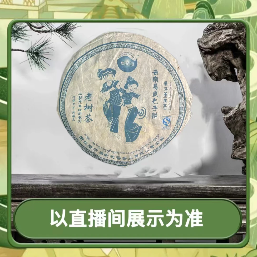 【天普】易星顶2009年易武麻黑石门坎 首批 古树茶 生茶 普洱茶