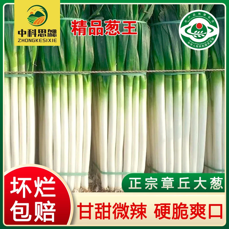 【兰姐专属】正宗章丘大葱5斤礼盒装山东特产水果葱鲜葱