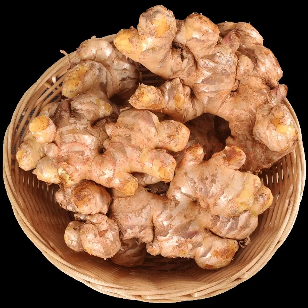 农村生姜大肉姜香辣顺丰包邮