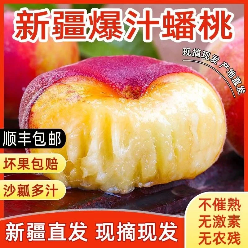 【新疆直发】新疆石河子143团蟠桃