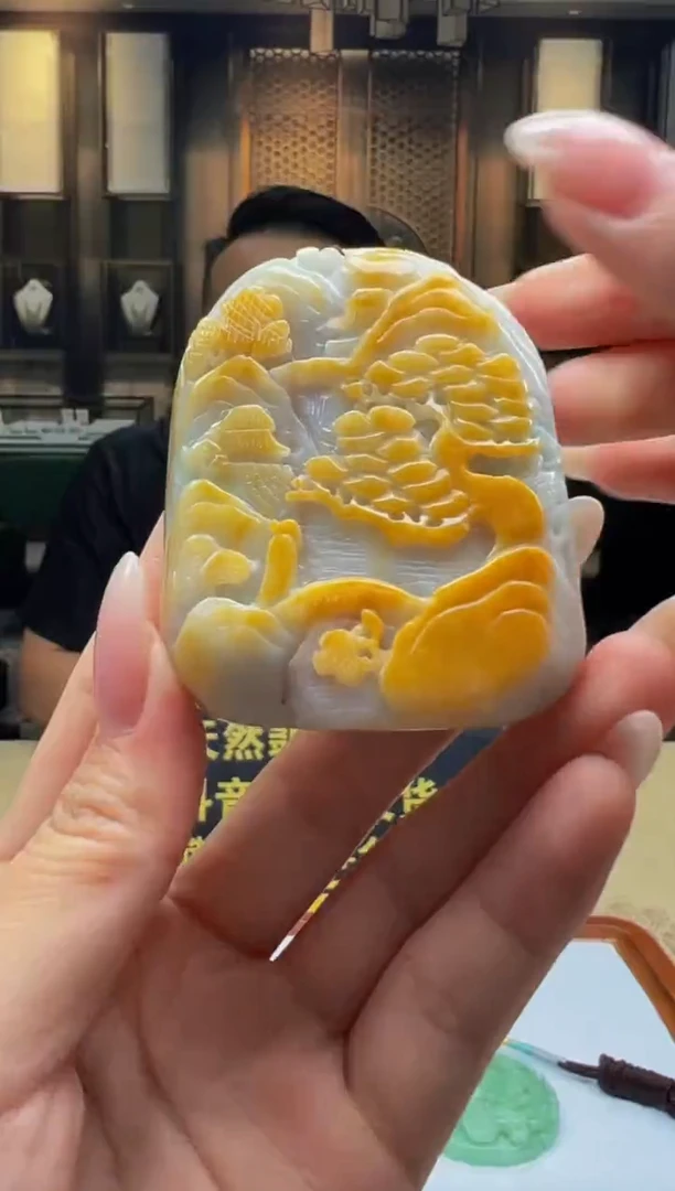【闪购商品】翡翠颈饰未镶嵌D2024-8-19-13