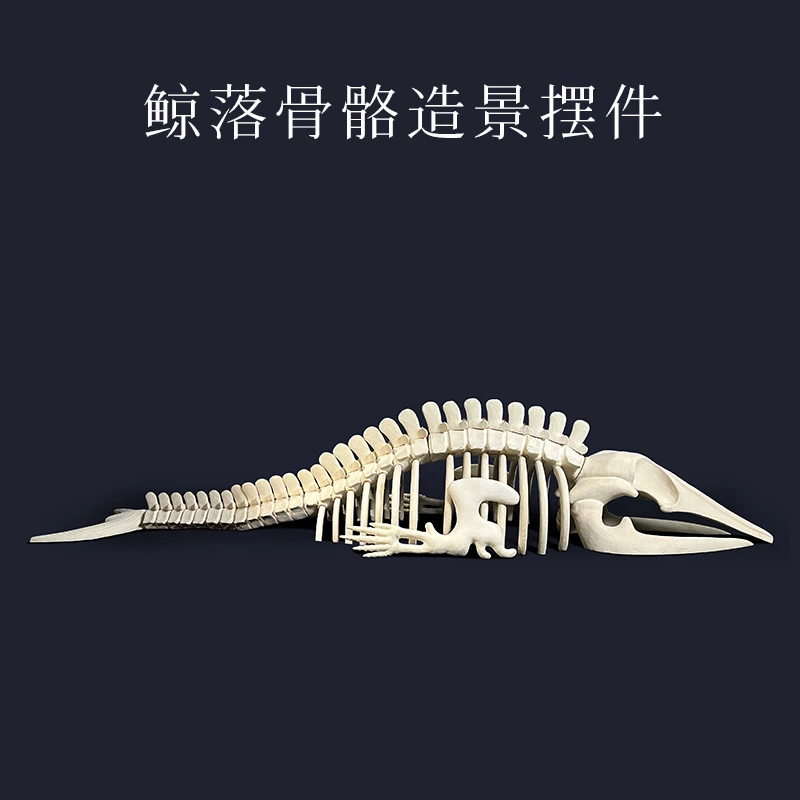 幽影鲸鱼鲸落造景海缸造景海水缸纯鱼缸造景珊瑚缸造景FOT造景