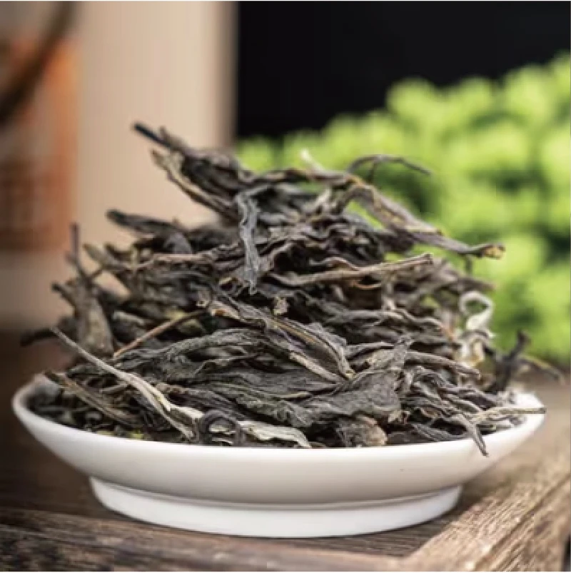 24年  新人见面礼24年大雪山SA6A9909