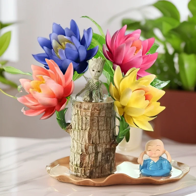 新耐寒巴西木新款家里水培室内好养阳台巴西木开花水养懒人绿植高