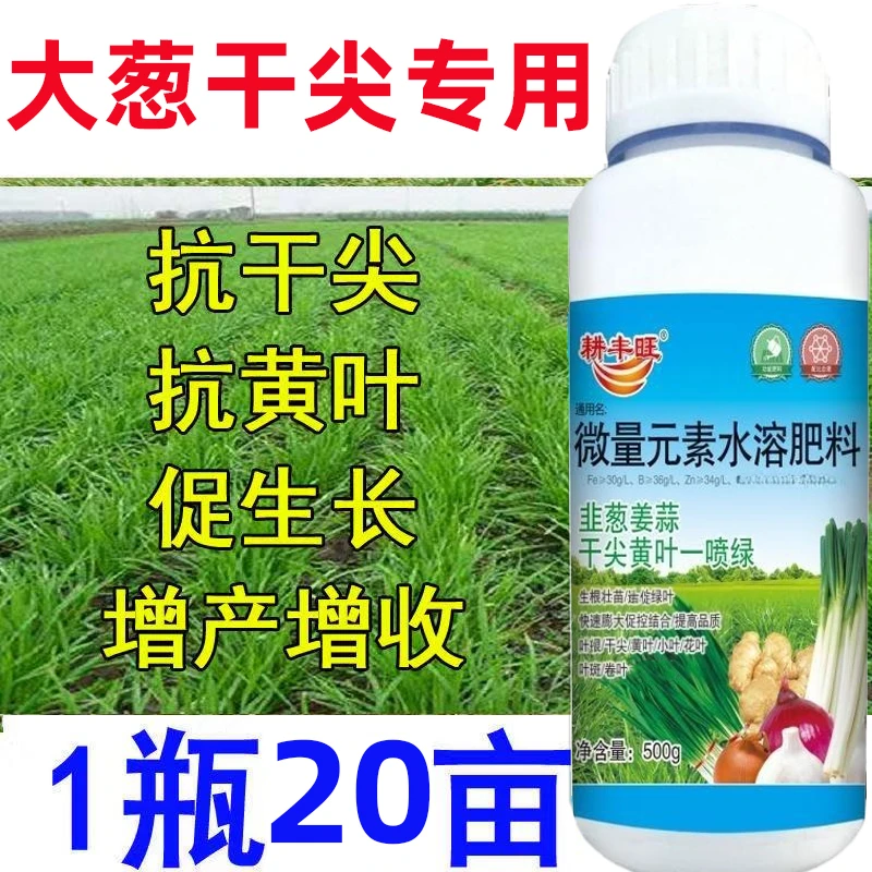 大葱干尖肥料小葱黄叶大葱叶面肥大葱膨大素叶面肥大葱黄叶一喷绿
