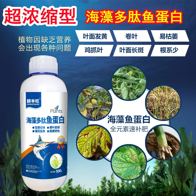 海藻鱼蛋白叶面肥水溶肥喷施微量元素黄叶死苗海藻肽鱼蛋白正规