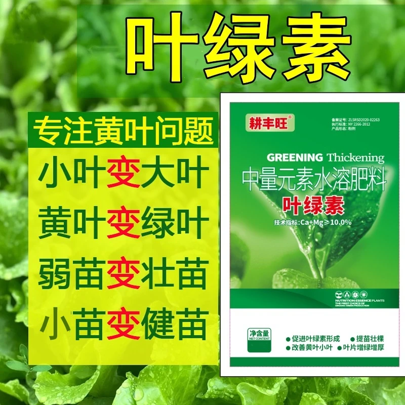 叶绿素氨基酸水溶肥花卉果树蔬菜叶面肥增绿增厚中量元素水溶肥料