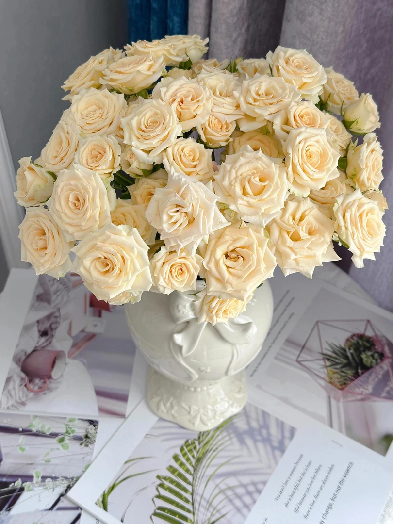 两件包邮！多头翠妮缇10支（20%以内不售后)