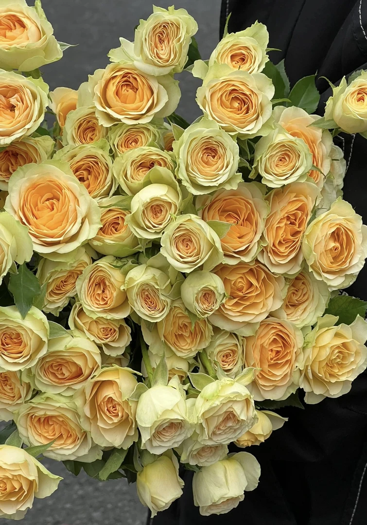 两单包邮！牛油果玫瑰10支！（20%不售后）