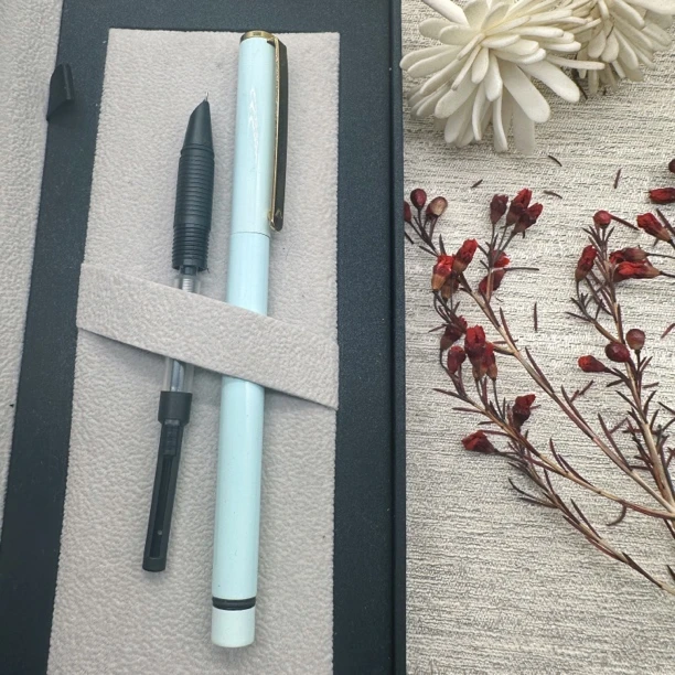 罗珊实拍761马卡龙系列钢笔学生练字情怀卡通文艺暗尖飞机尖F尖