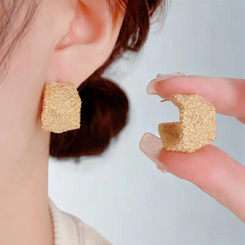 铜合金耳饰 磨砂满天星耳环轻奢小众设计耳扣百搭唯美新中式配饰