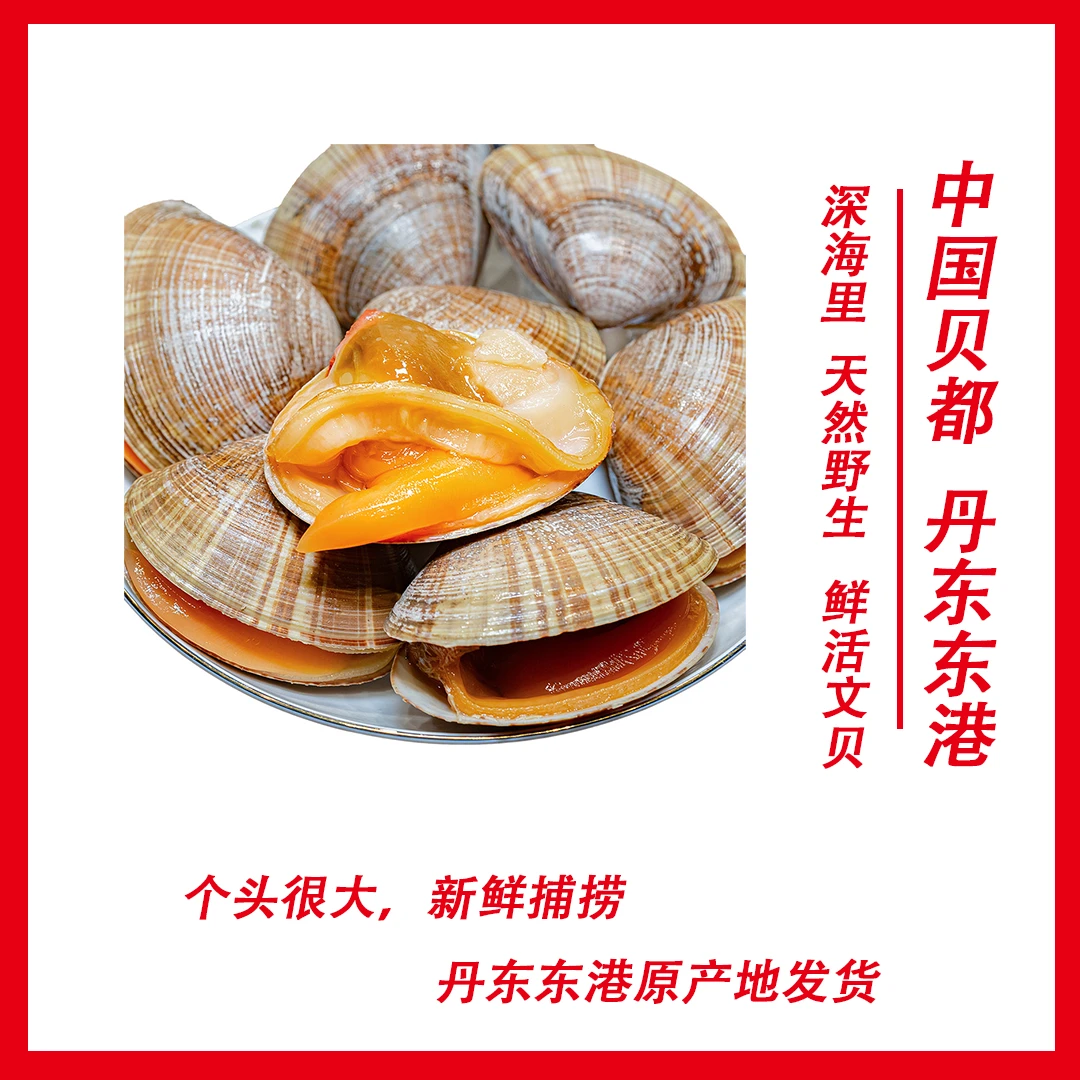 鲜活大文贝 丹东东港原产地鲜活发货 3斤/2斤装 顺丰冷链/空运