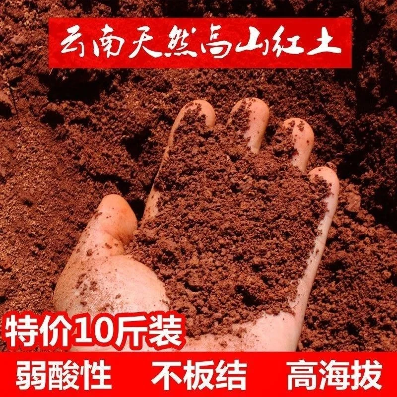云南酸性红土 茶花 茉莉花 栀子花专用天然营养红土 养龟专用土壤