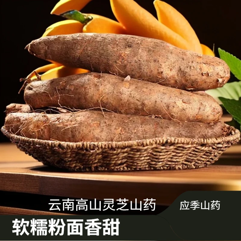 正宗云南灵芝山药新鲜应季蔬菜粉糯软面现挖现发