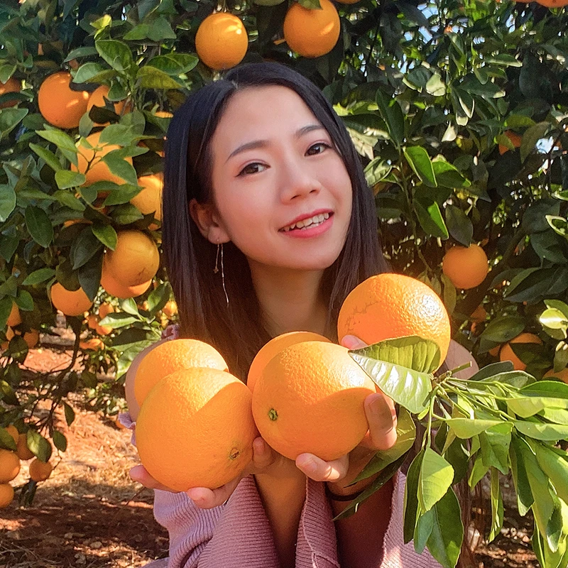橙家七小姐2024年现摘现发赣南信丰脐橙自家种植产地直发新鲜水果