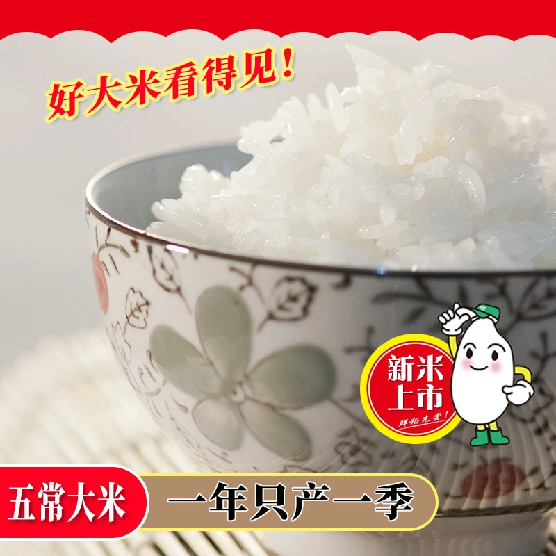2025年新米东北大米五常大米秋娃五常稻花香大米 10斤GB/T19266