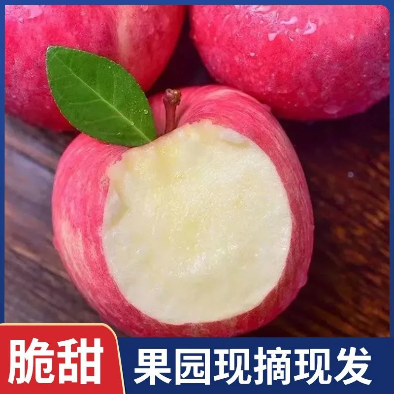沂源红富士自家果园种植不打蜡不催熟不加甜蜜素绿色纯天然5斤装