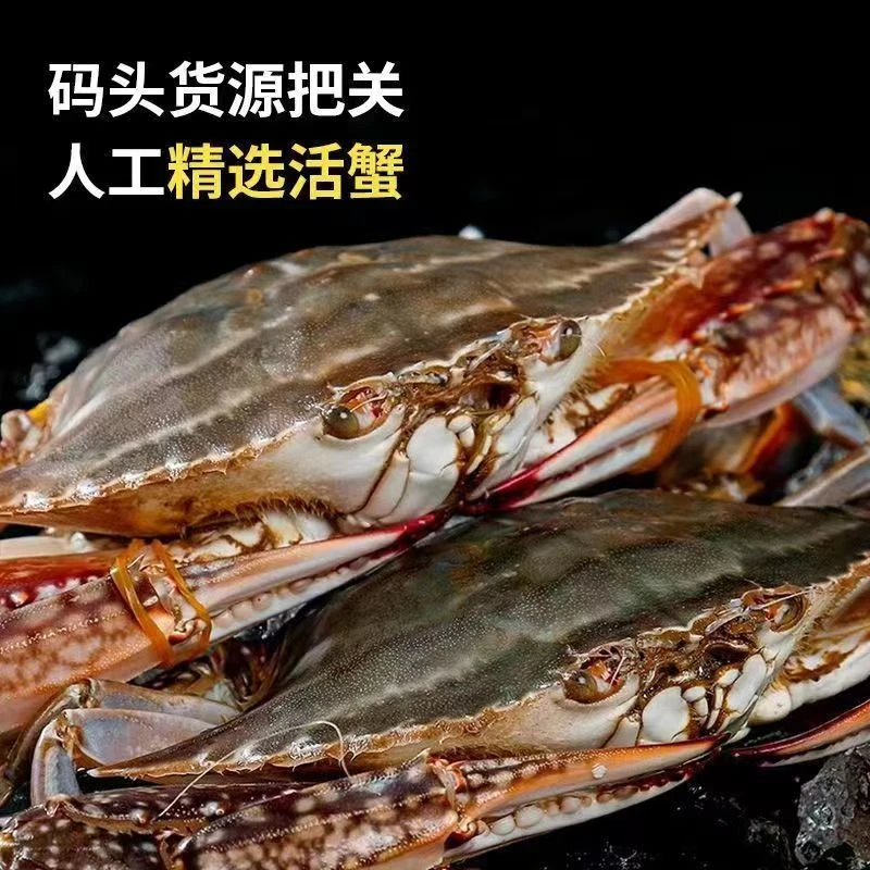 【保鲜不保活】东港大公母混 3.5-4两 3斤 8只