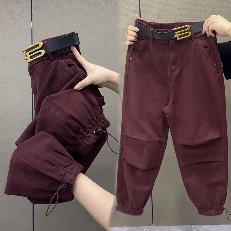 新款宽松老爹裤2024早秋设计感显瘦洋气时尚百搭纯色哈伦裤休闲裤