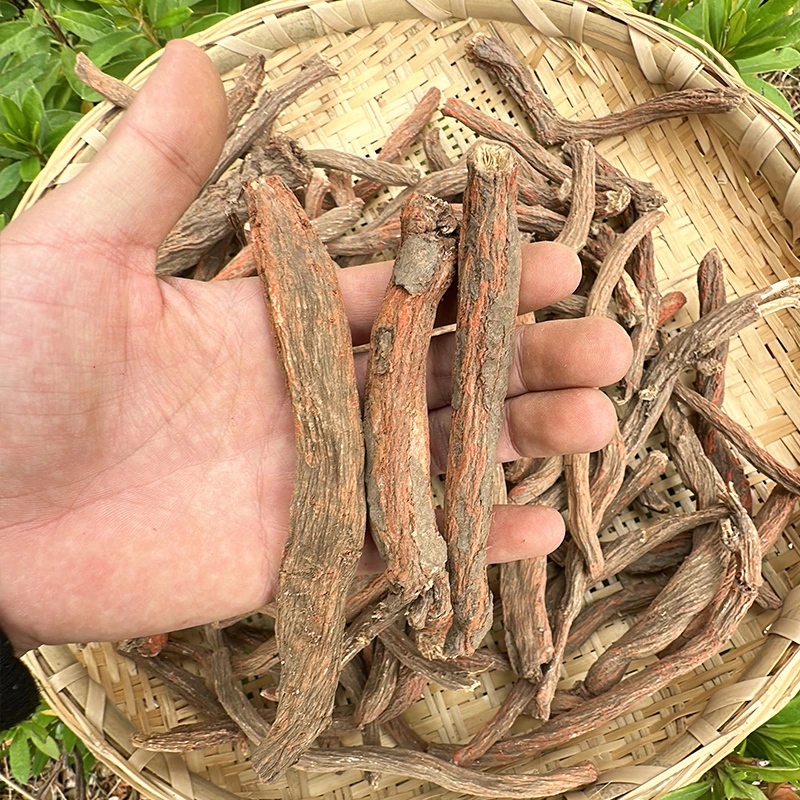 云南特产山货好物推荐丹参条250克/500克
