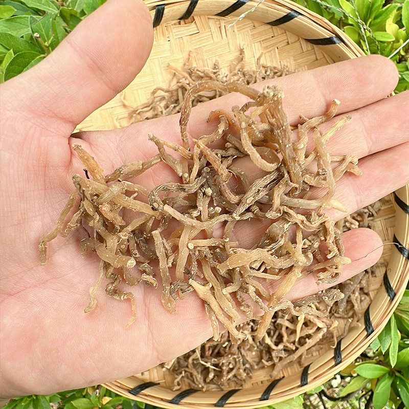 云南特产山货好物推荐小玉竹150克/300克
