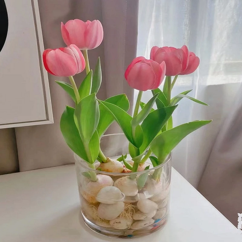 进口郁金香种球水培土培套装耐寒多年生四季种植风信子盆栽花卉