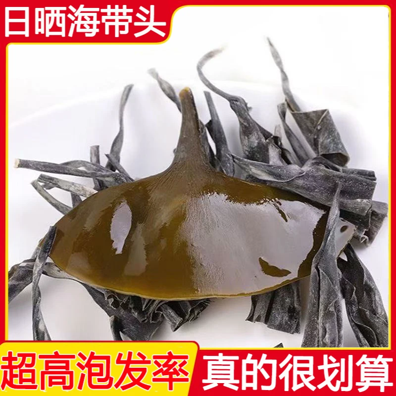 霞浦特产海带干货日晒干海带头无沙海带梗软糯厚实海带排骨汤100g