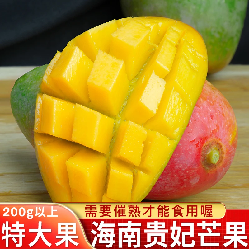 [需催熟再食用]海南贵妃芒果新鲜热带水果肉厚细腻香甜农产品
