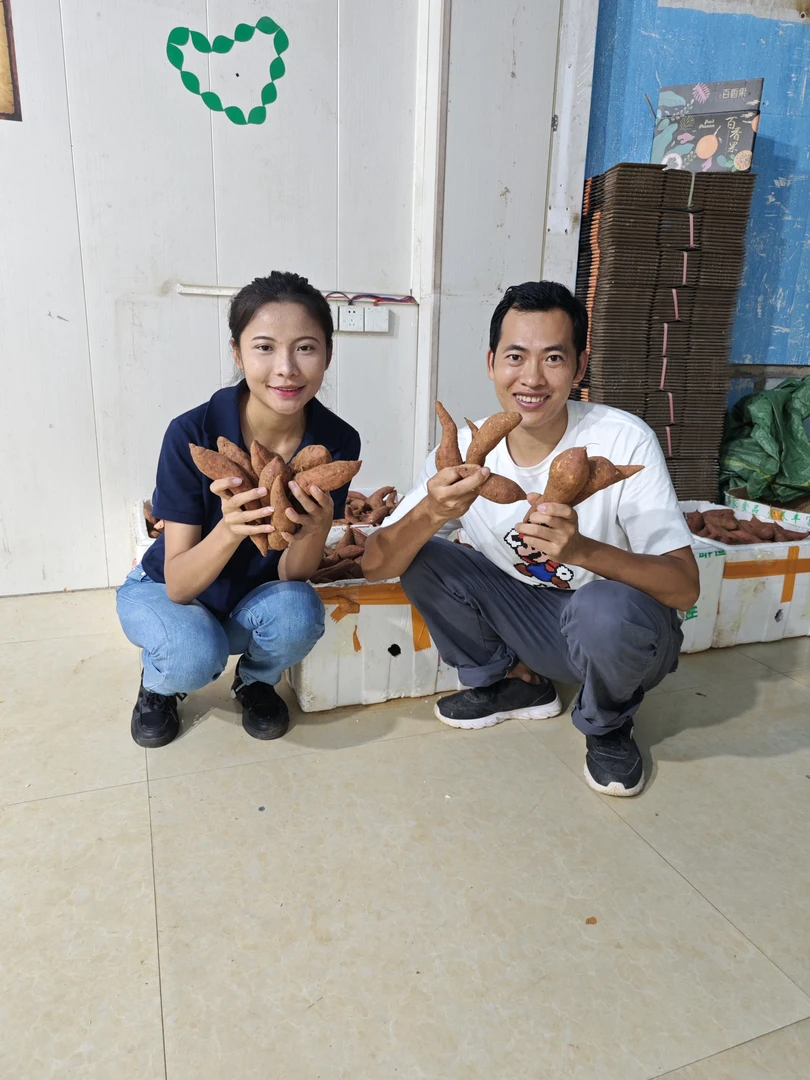 【小七小勇家乡新鲜蜜薯】广西 本地农家蜜薯 软糯香甜 营养健康
