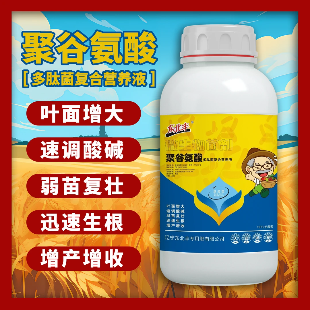 东北丰微生物菌剂（食品级）聚谷氨酸多肽菌复合营养液